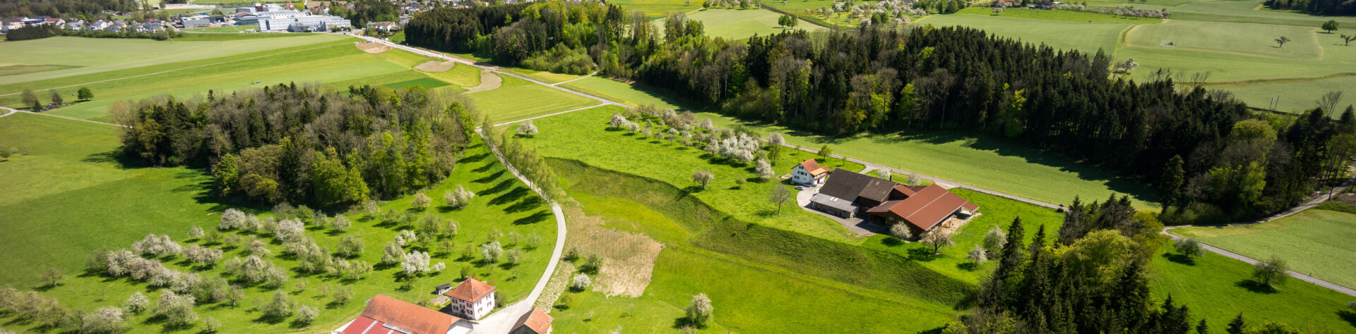 Metropolitanraum-Zuerich-Medien-Uzwil