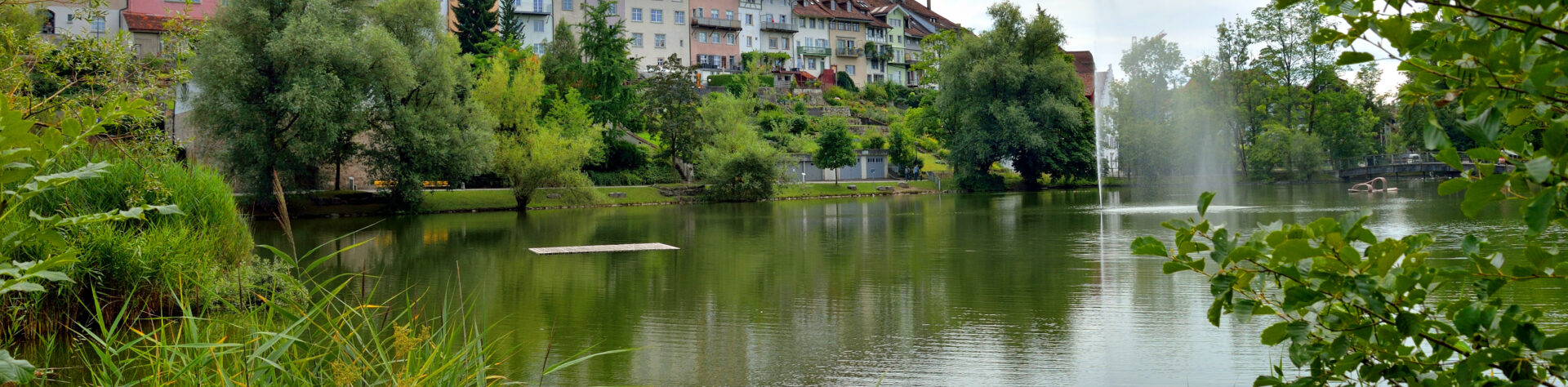 Metropolitanraum-Zuerich-Wil