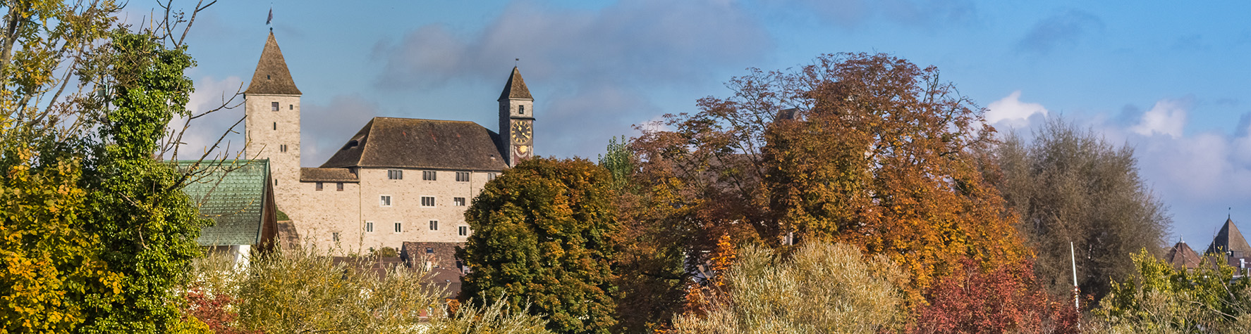The,Old,Medieval,City,Of,Rapperswil,Perched,Atop,A,Rocky